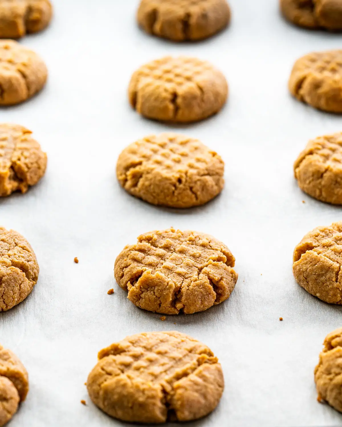 peanut butter cookies fresh out of the oven on a baking sheet.