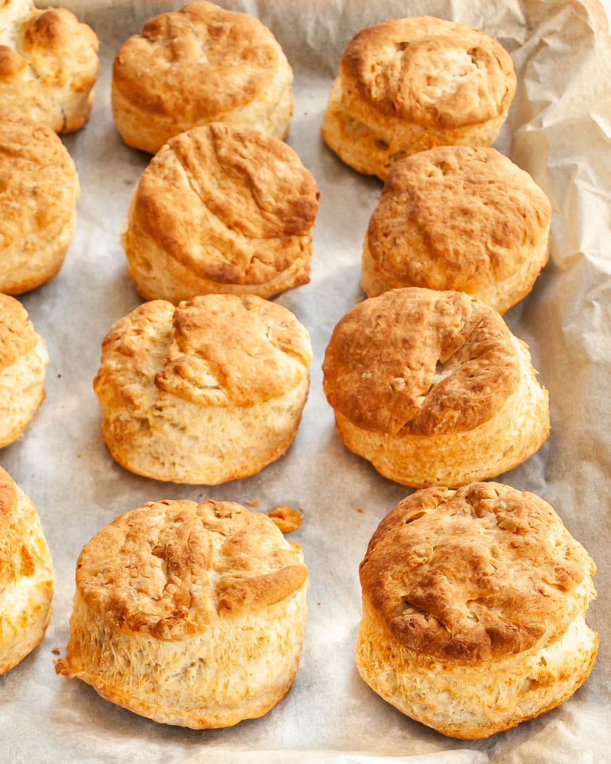 Buttermilk Parmesan Biscuits - Craving Home Cooked