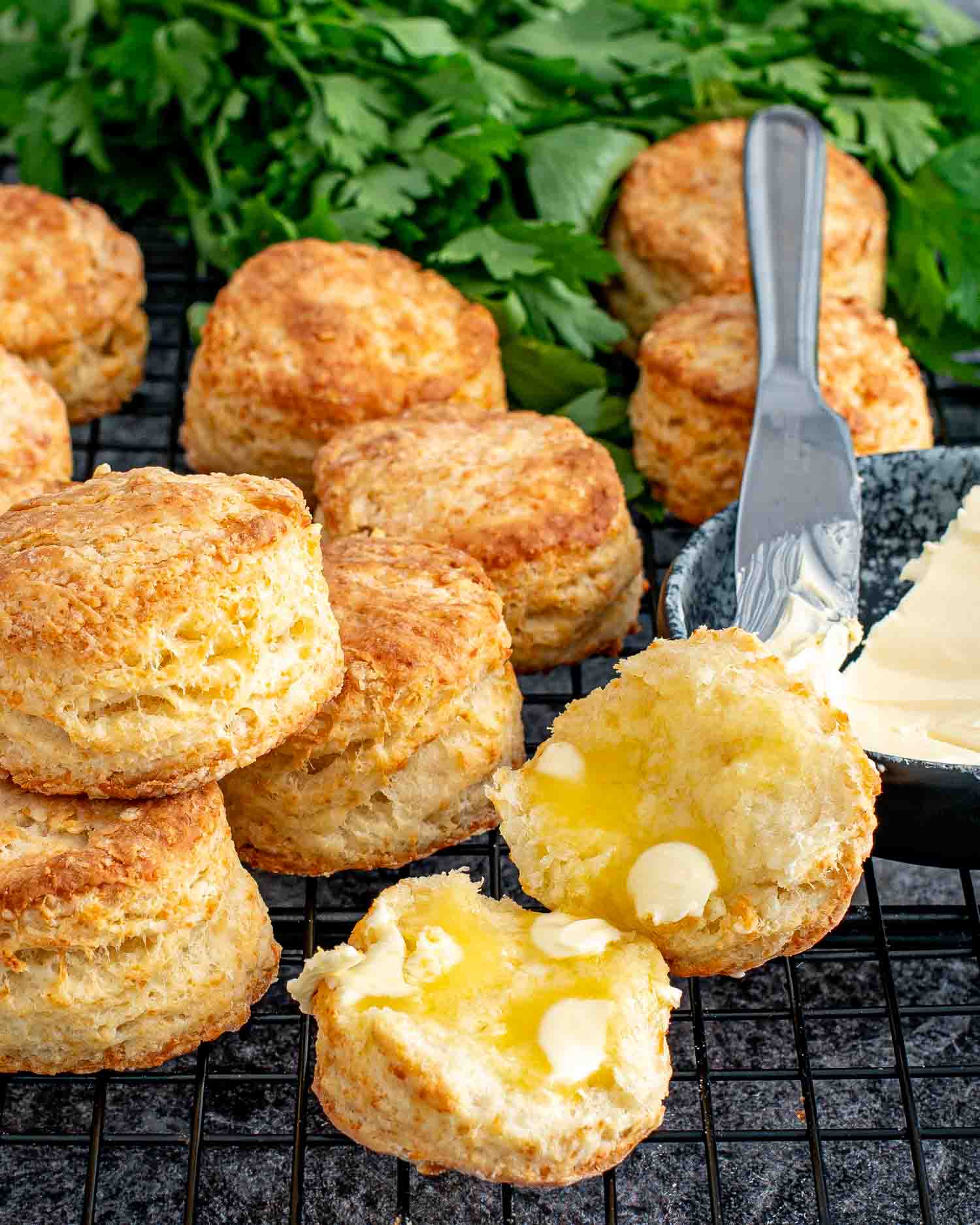 a few buttermilk parmesan biscuits on a black plate with one cut in half and spread with butter.