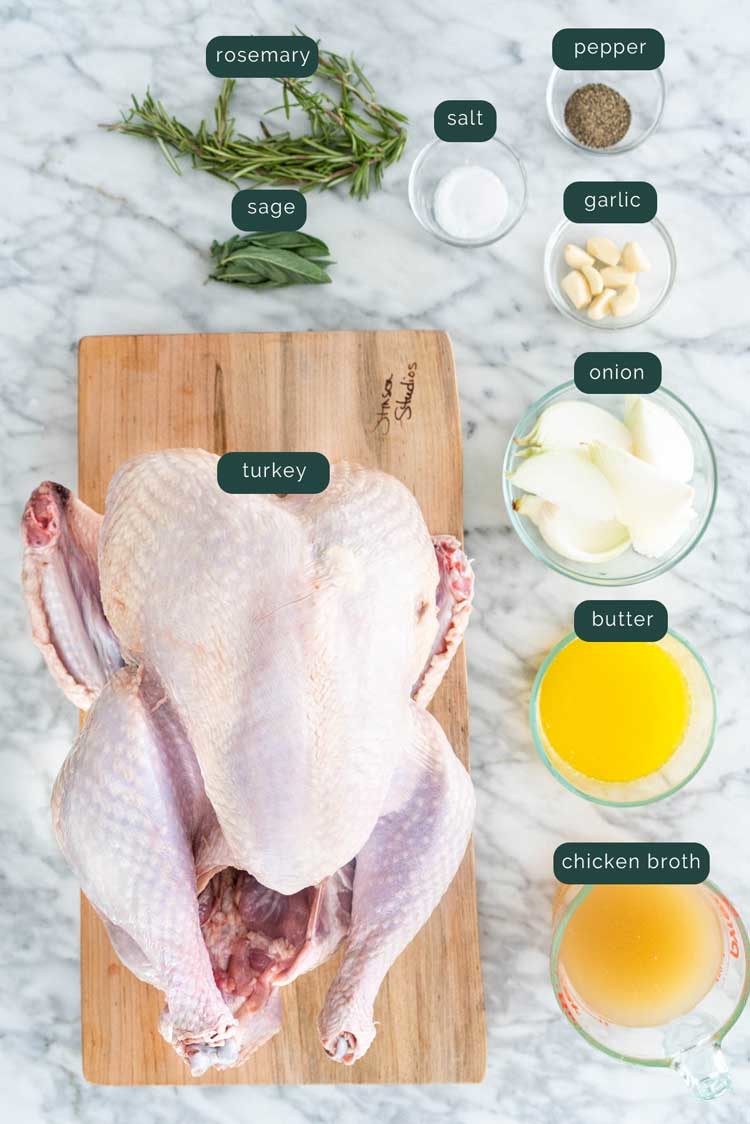 overhead shot of ingredients needed to roast a turkey