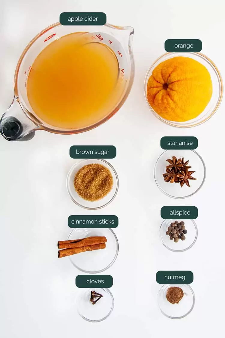 overhead shot of all ingredients needed to make hot mulled cider