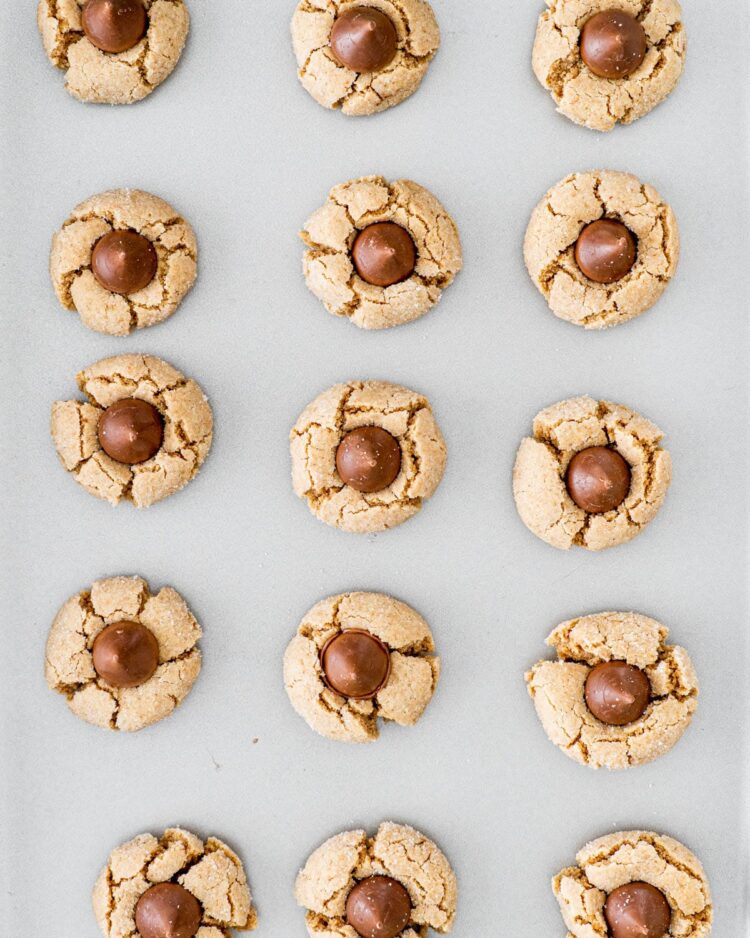 overhead shot of peanut butter blossoms fresh out of the oven on a baking sheet