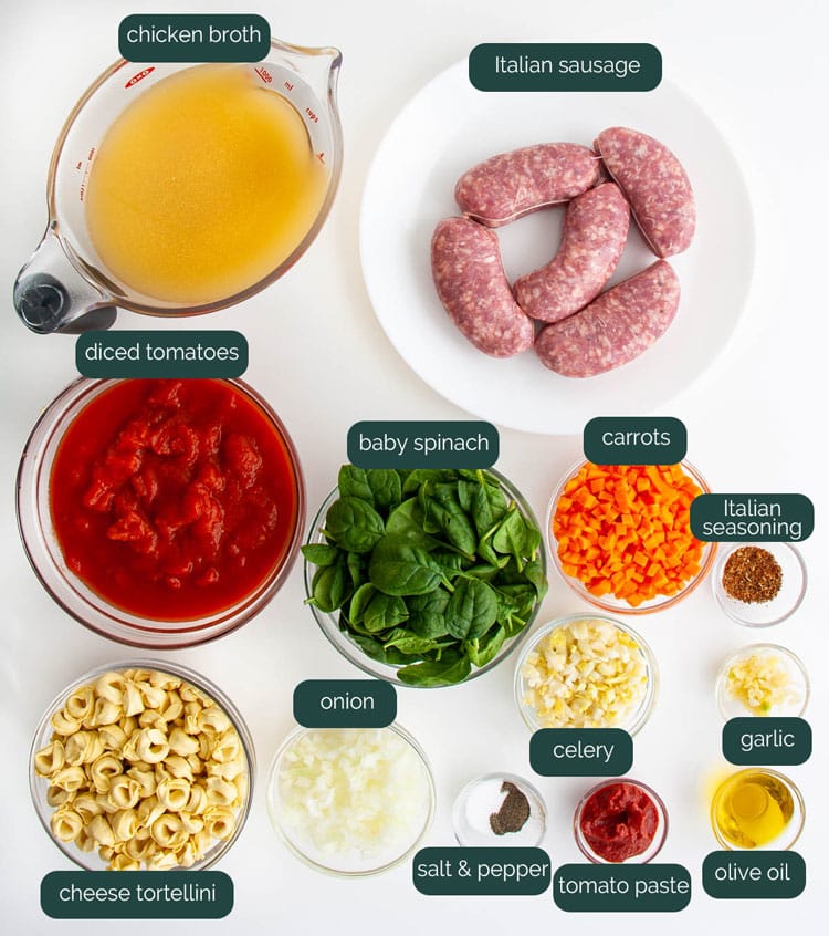 overhead shot of all the ingredients needed to make sausage tortellini soup