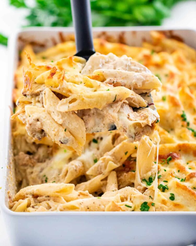 a serving spoon spooning out chicken alfredo bake from a casserole dish