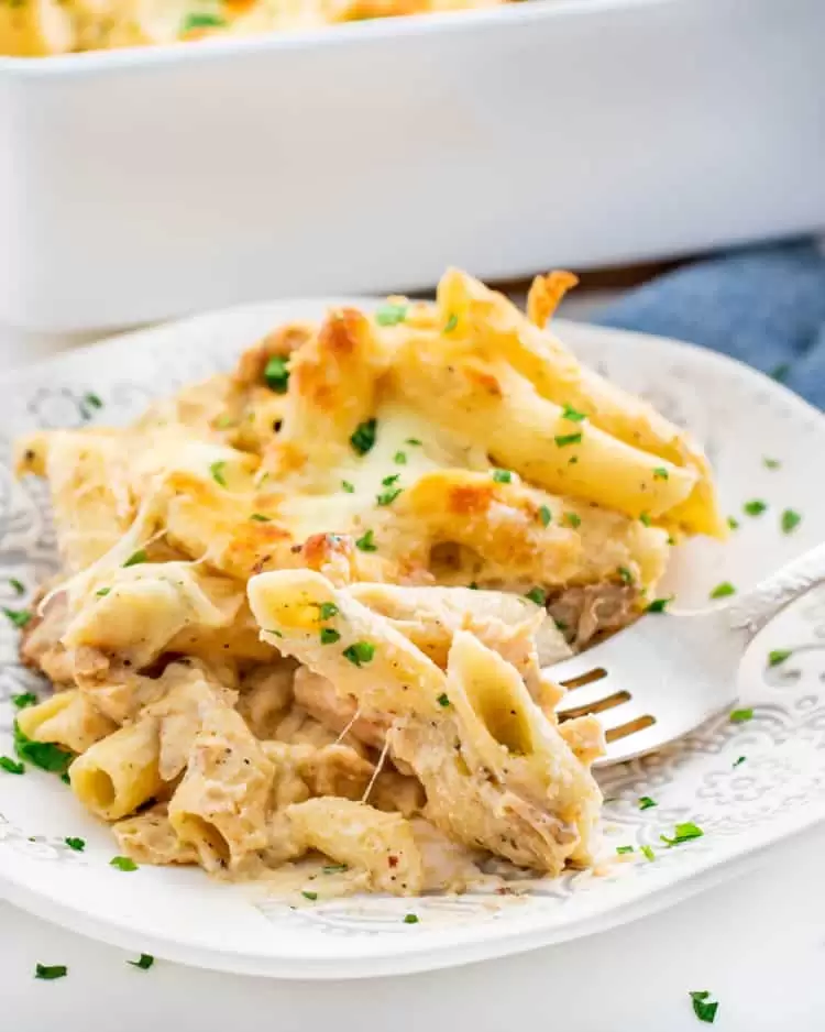 chicken alfredo pasta in a white plate