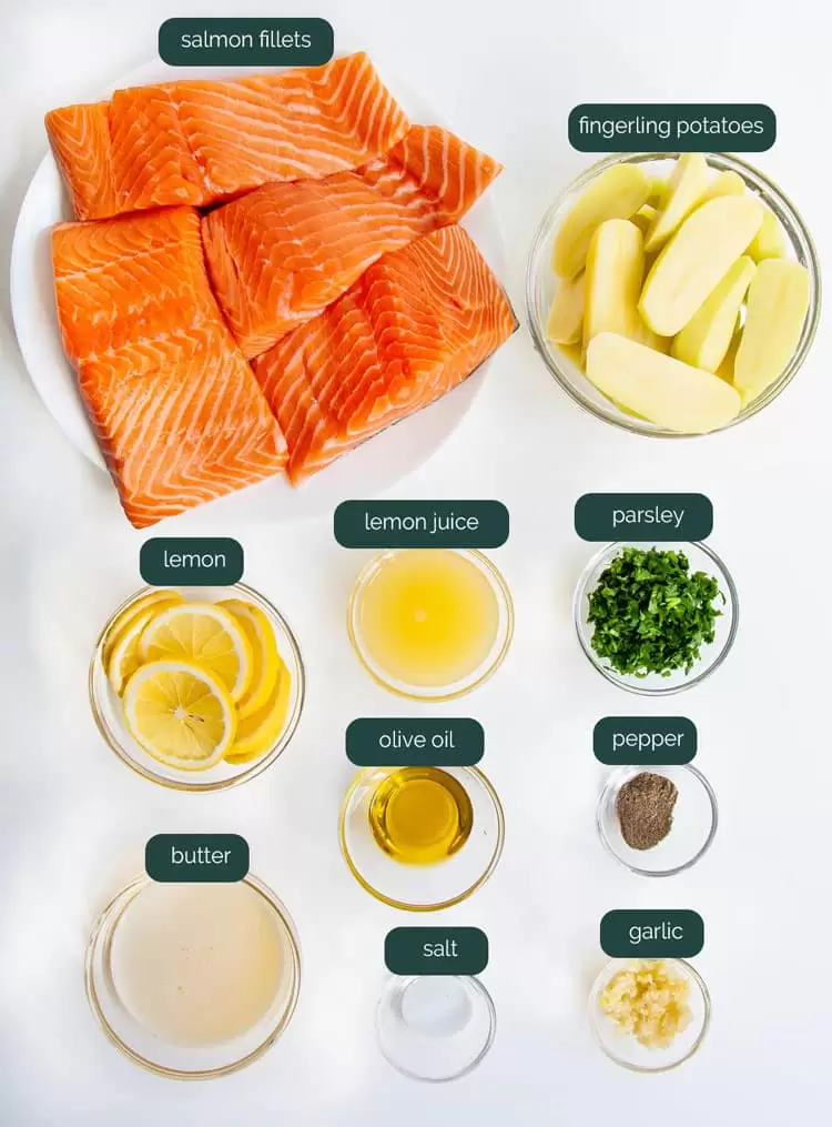 overhead shot of ingredients for garlic butter baked salmon