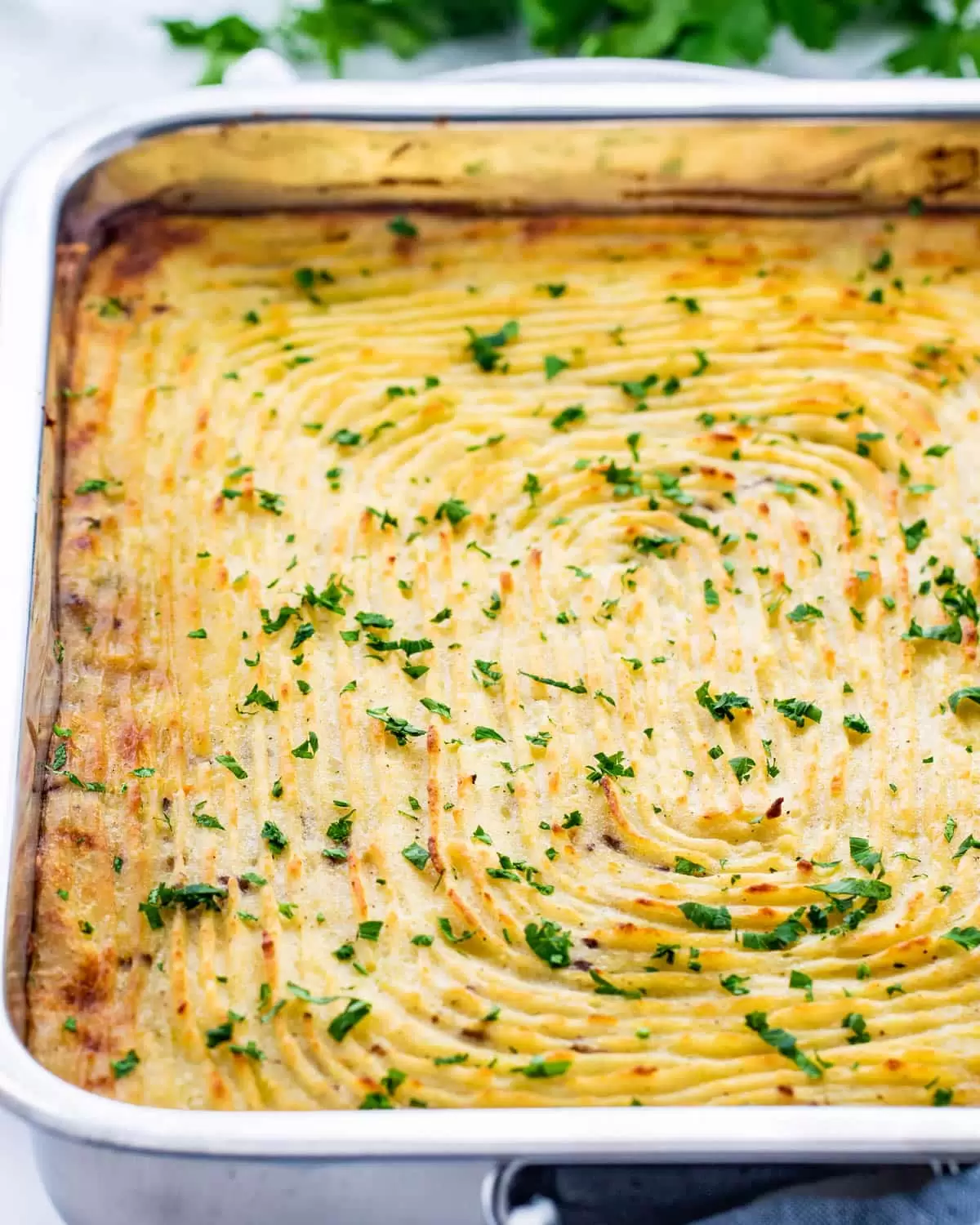 a casserole dish with freshly baked shepherd's pie