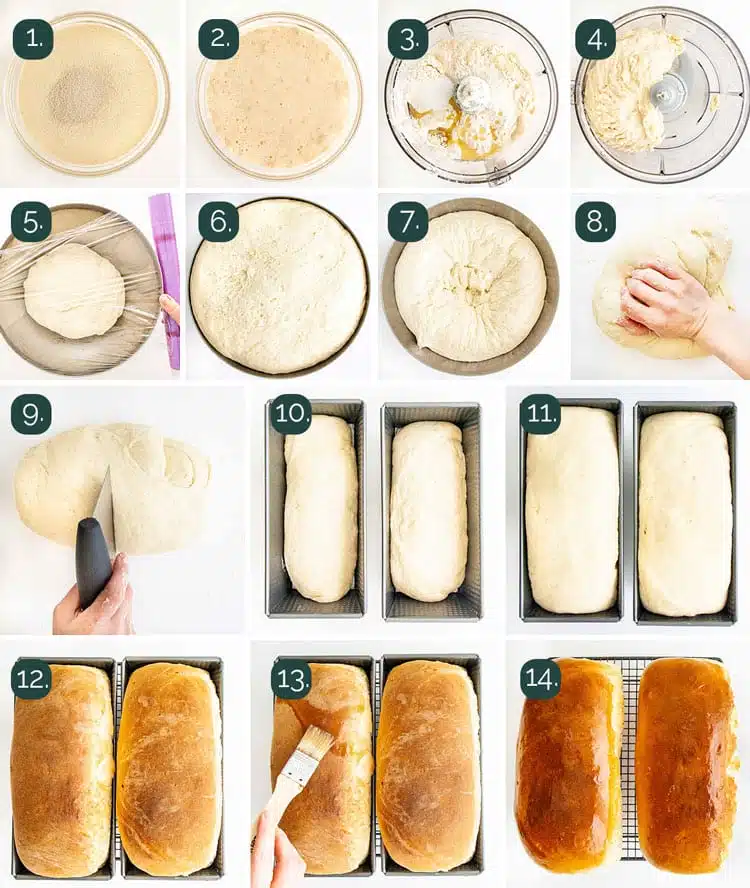 process shots showing how to make amish white bread from start to finish
