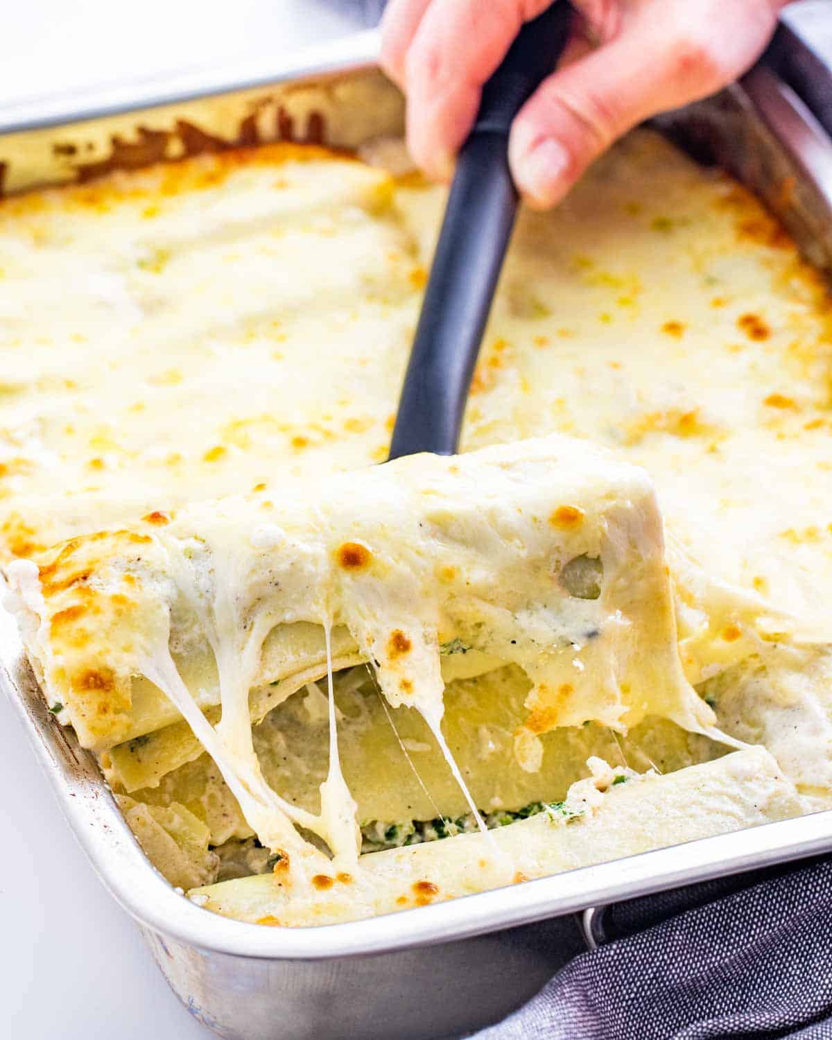 a spatula pulling out an alfredo lasagna roll up from a casserole dish