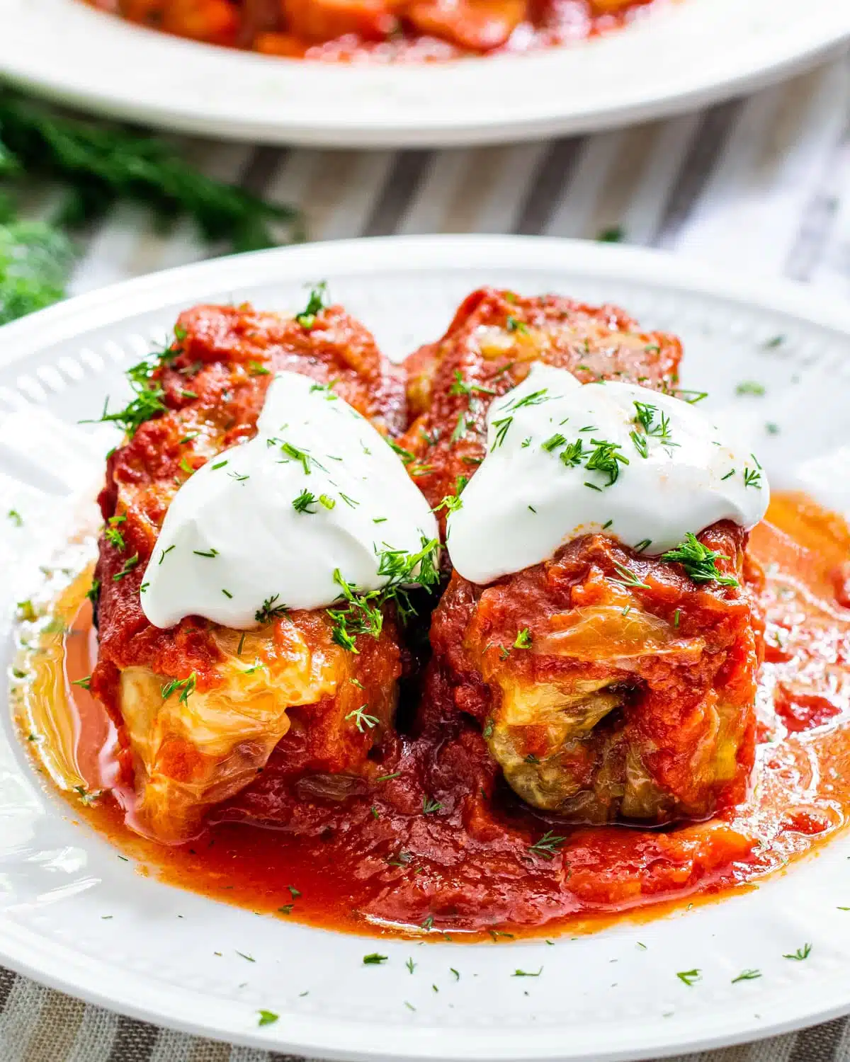 two cabbage rolls on a white plate topped with a dollop of sour cream and fresh dill
