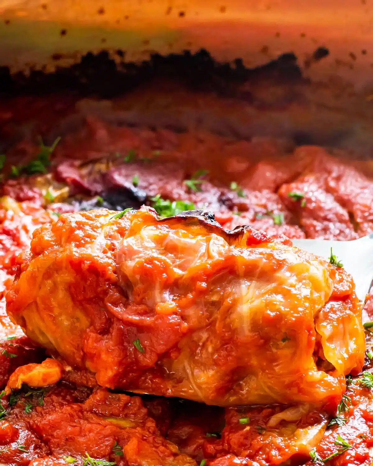 a stuffed cabbage roll in a pot full of them 