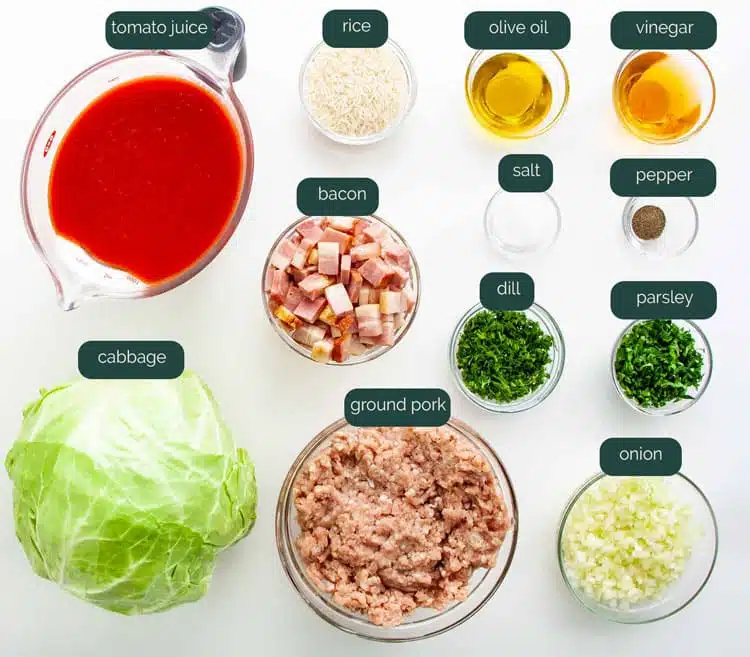 overhead shot of all the ingredients needed to make stuffed cabbage rolls