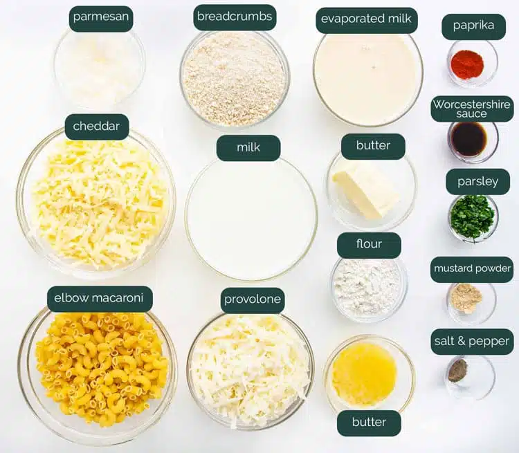 overhead shot of all the ingredients needed for baked mac and cheese