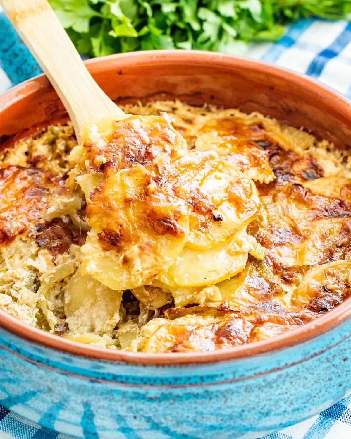 side view shot of fennel potato gratin in a baking dish with a serving spoon picking some out