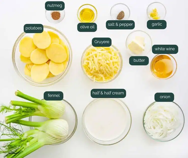 overhead shot of all the ingredients needed to make fennel potato gratin