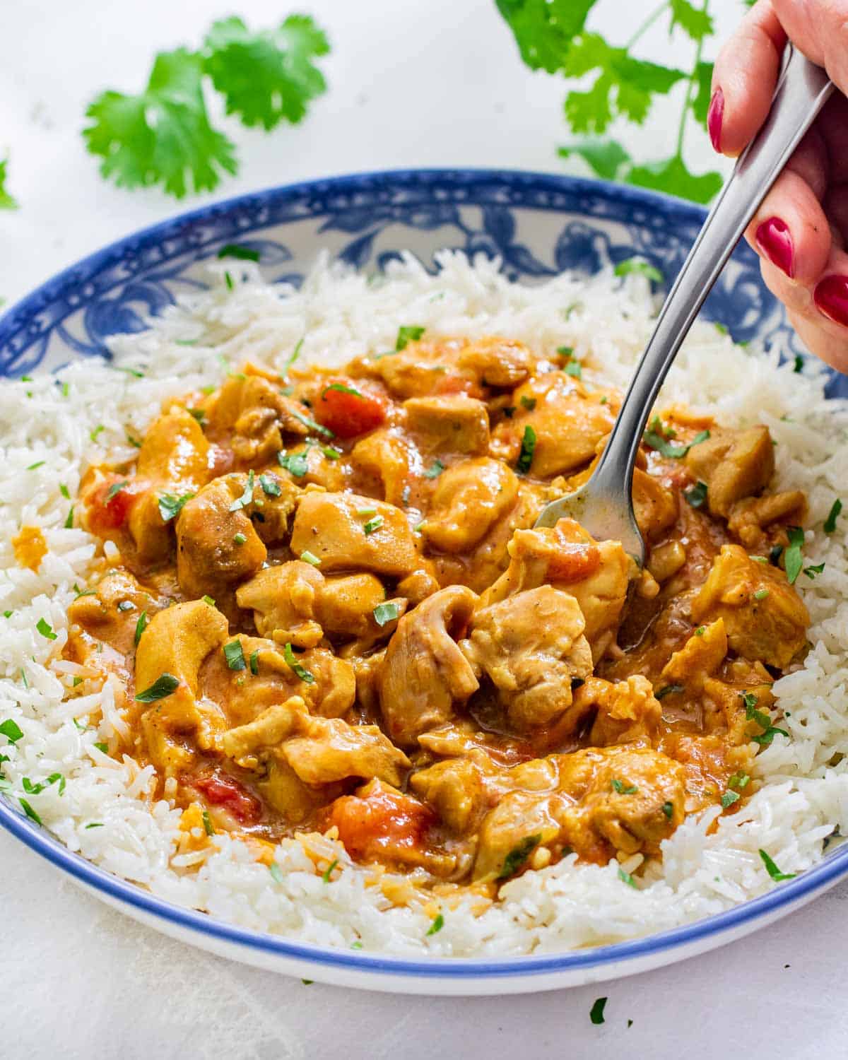 sideview shot of coconut curry chicken over a bed of rice with a hand holding a fork in the curry