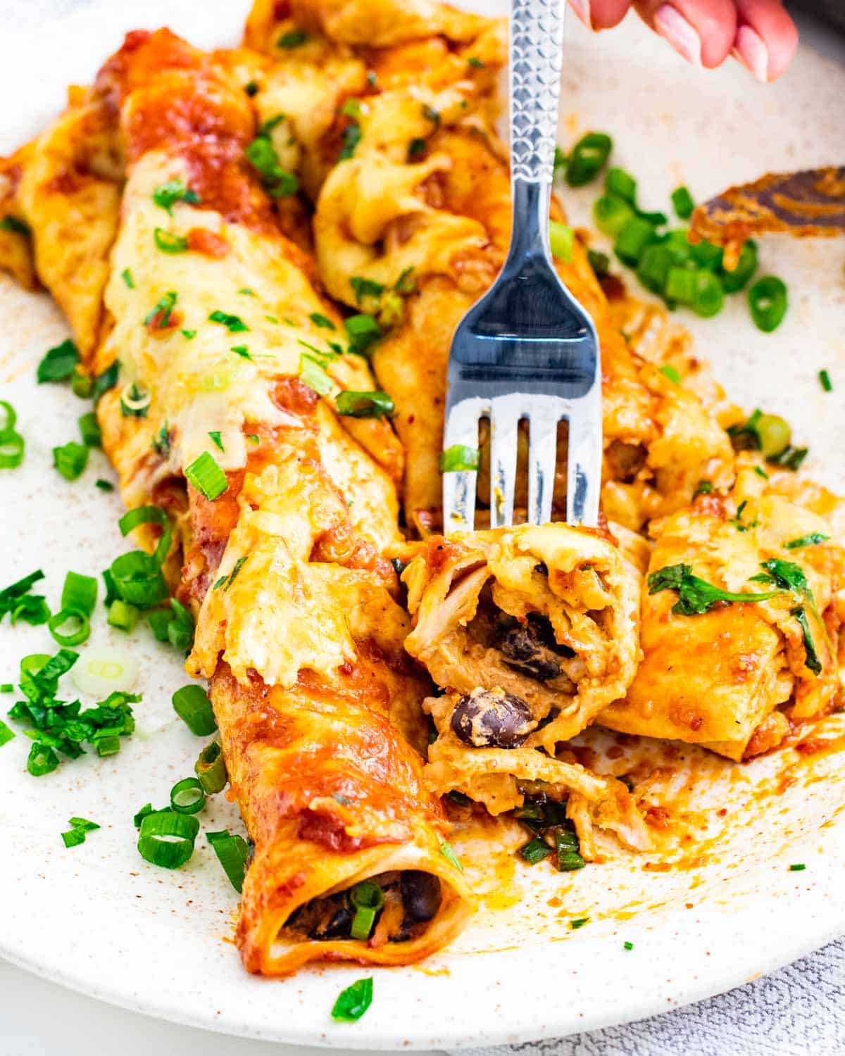side view shot of 2 chicken enchiladas on a white plate with a fork holding a piece