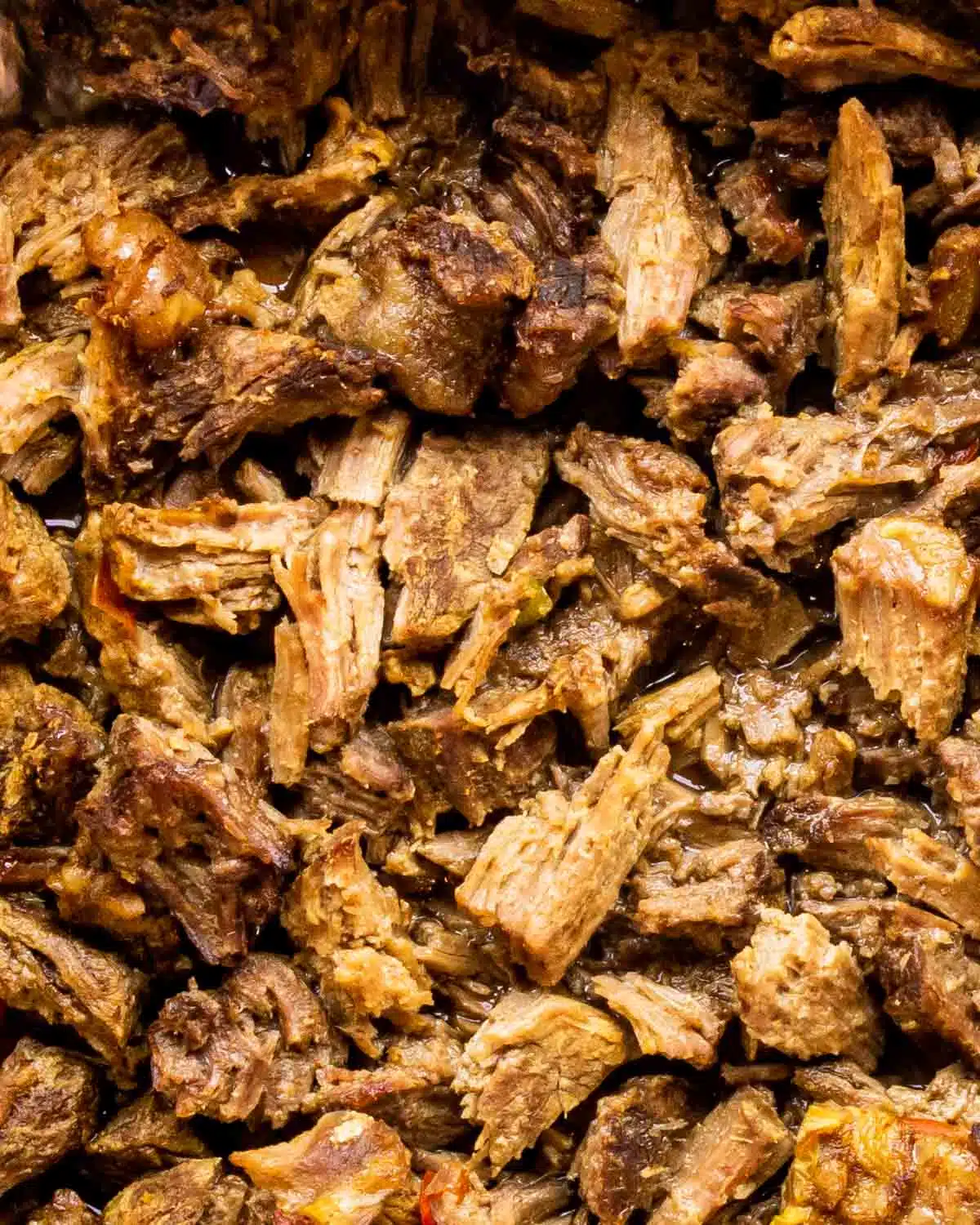 crispy beef carnitas in a pan fresh out of the oven.