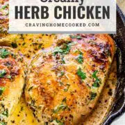 pin for creamy herb chicken.