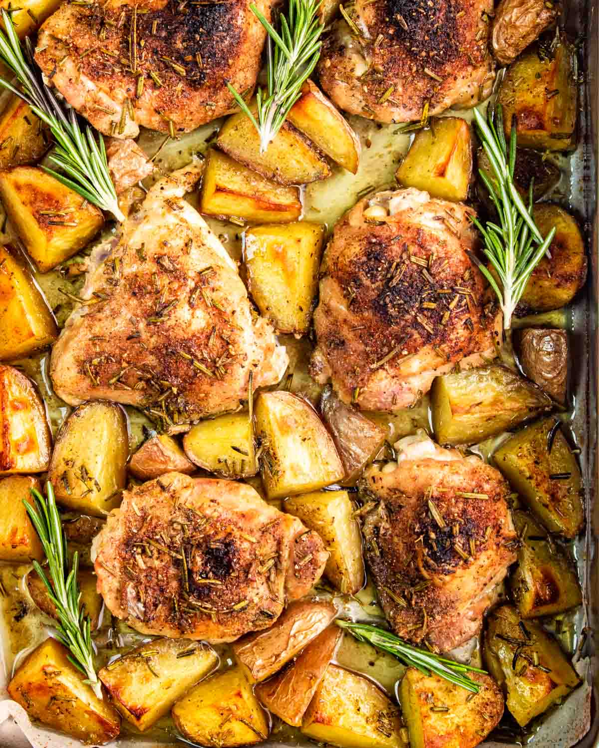 sheet pan rosemary chicken and potatoes fresh out of the oven.