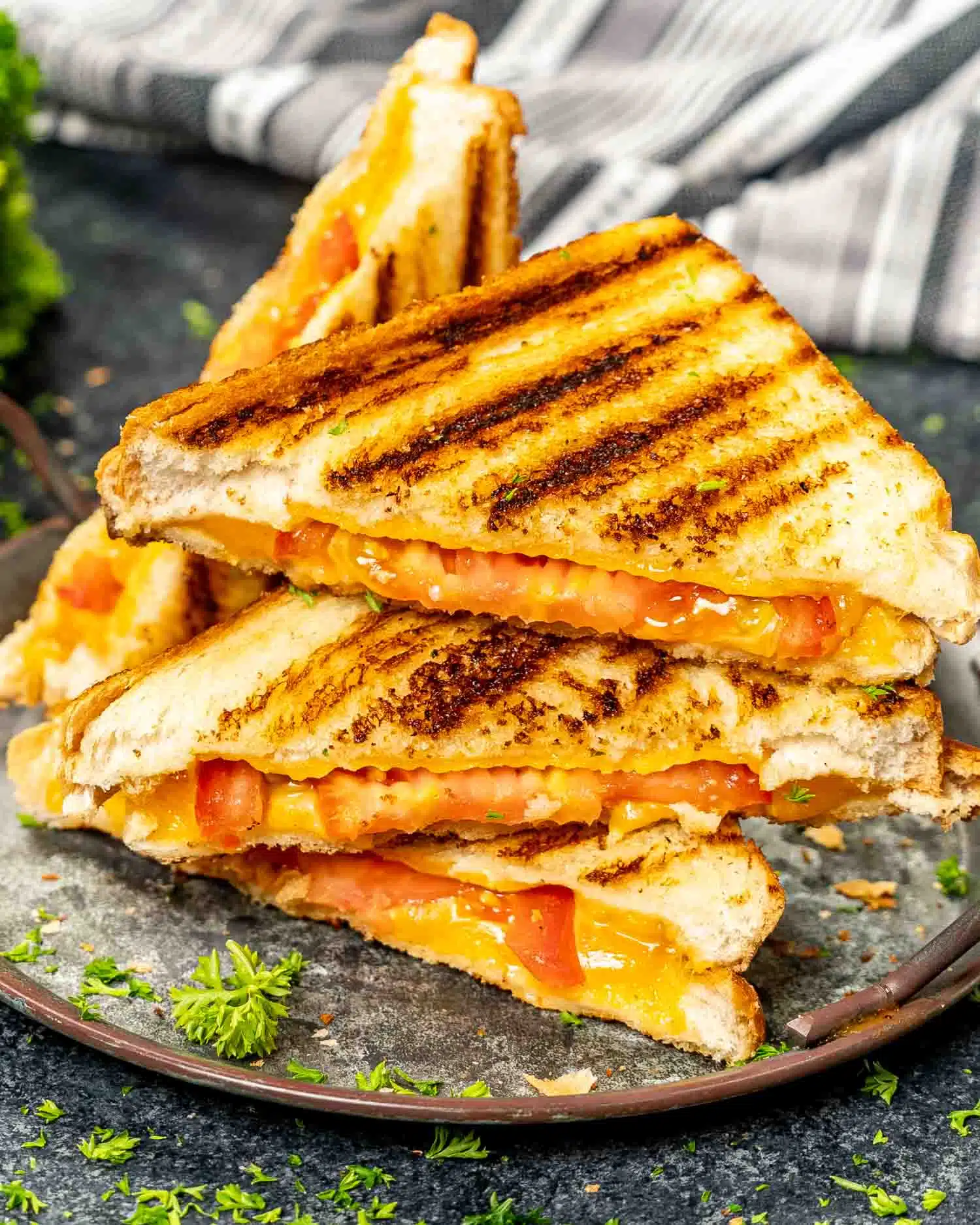 grilled cheese sandwich cut in half on a plate.