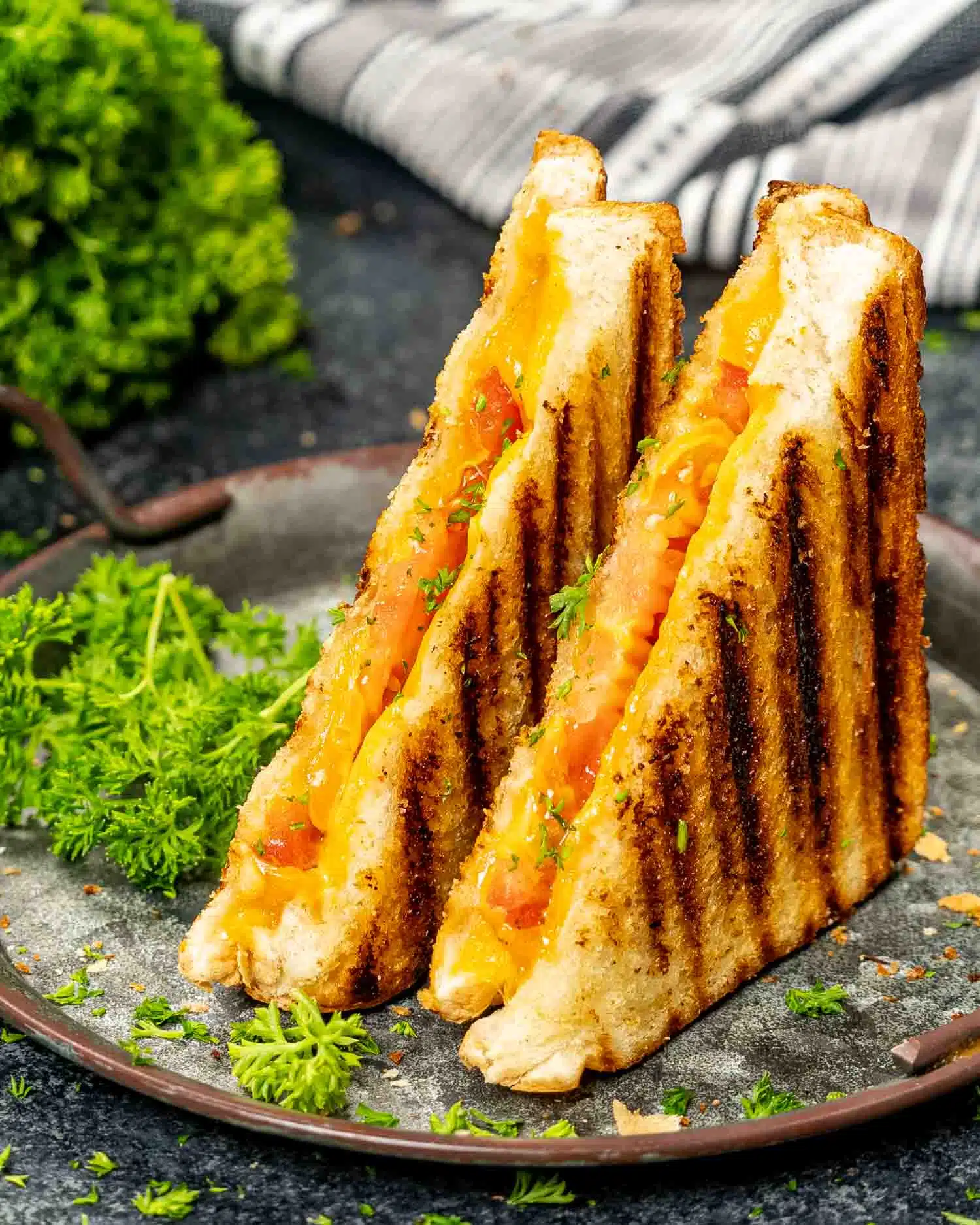 grilled cheese sandwich cut in half on a plate.