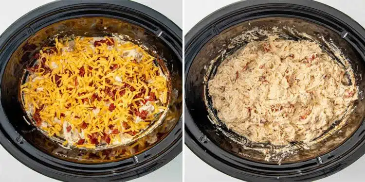process shots showing how to make crockpot crack chicken.
