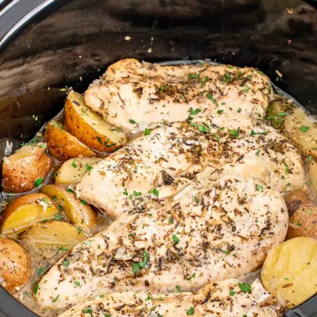 freshly made crockpot chicken and potatoes.