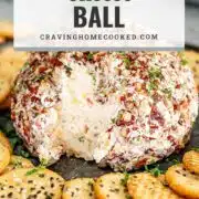 pin for cheese ball.