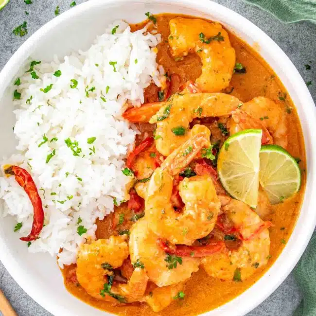 a serving of thai coconut shrimp curry with rice in a white plate.