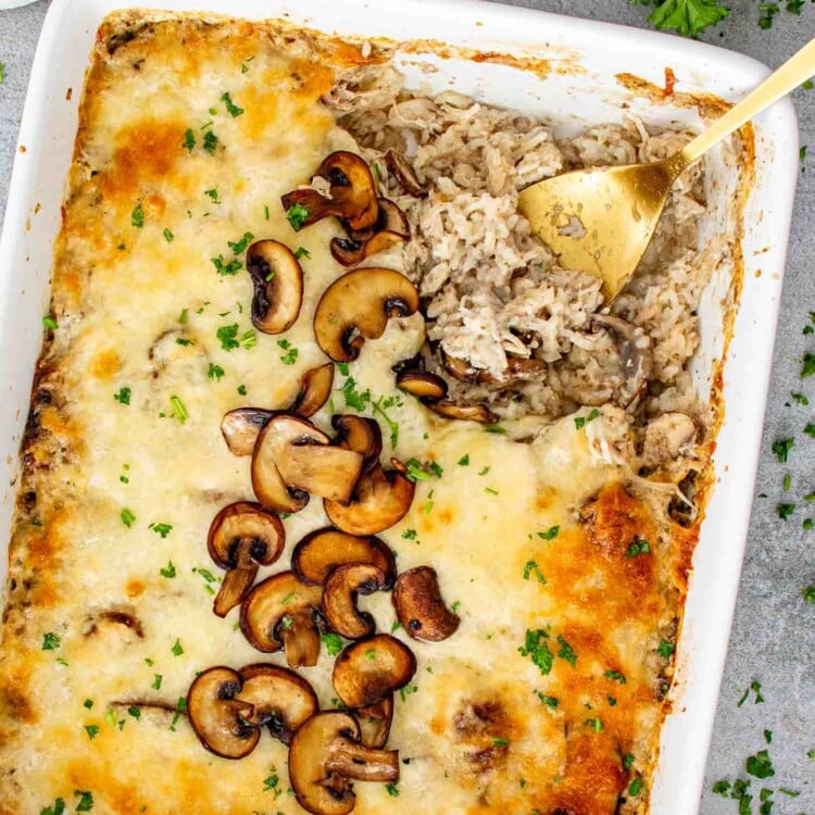 hicken mushroom rice bake scooped from casserole dish showing creamy rice texture, shredded chicken, melted cheese, and golden browned edges.